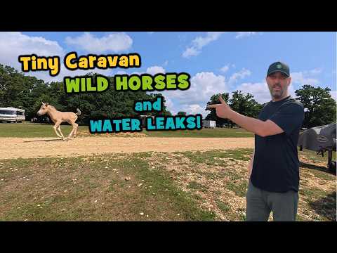 Видео: Крошечный караван в Нью-Форесте: дикие лошади и крупная утечка воды!
