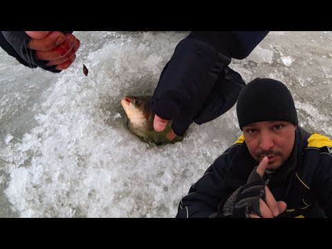 Видео: Тут тягають коропів ,лящів та карасів ●  RoMaX Fishing ●