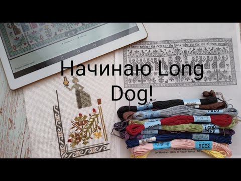 Видео: Обо всем!Начинаю Long Dog "Wise and Foolish"