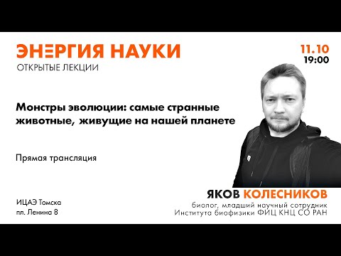 Видео: Адский вампир, персидский ковёр, ай-ай и другие «монстры» на лекции биолога Якова Колесникова