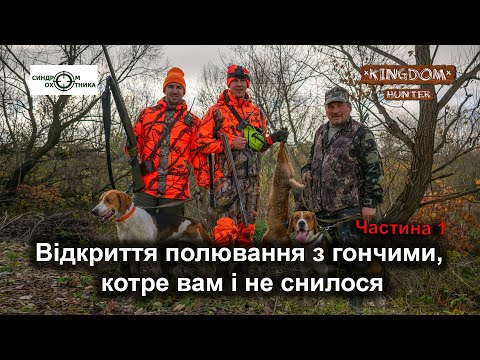 Видео: Відкриття полювання з гончаками, котре вам і не снилося! Частина 1