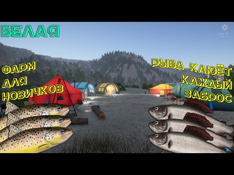 Видео: Русская Рыбалка 4. БЕЛАЯ. ФАРМ ДЛЯ НОВИЧКОВ. РАЗБОР ТОЧЕК КАК И ГДЕ ЛОВИТЬ РЫБУ. ХАРИУС. ФОРЕЛЬ.