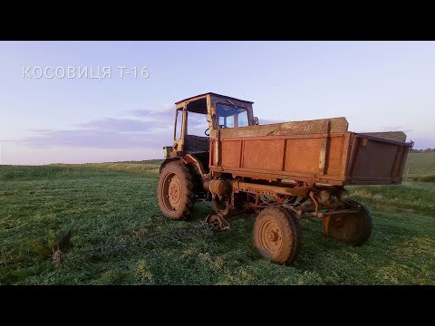Видео: Т-16🚜❗️ Косовиця🌱❗️