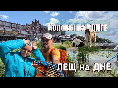 Видео: Рыба на ПИВОзаводе.Пляж РоЖДЕСТВЕННО.Остров ЗЕЛЕНЕНЬКИЙ.Каменное озеро.#самарагород #природа#дно