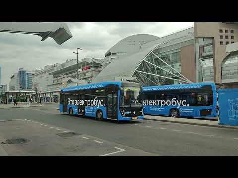 Видео: Московские электробусы / Moscow electric buses