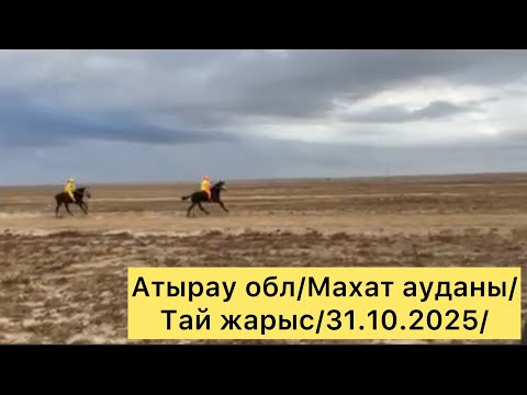 Видео: Атырау обл/Махат ауданы/Тай жарыс/31.10.2025/