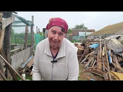 Видео: Папа развернул серьёзные ландшафтные работы. Сделали вольер для собак. Деревенская жизнь.