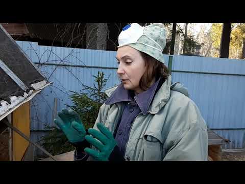 Видео: Дезинфекция курятника. Обработка Известью.