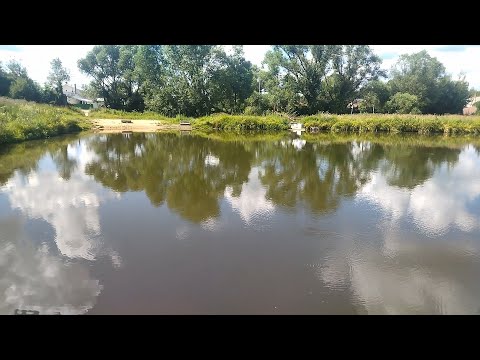 Видео: Очистка прудов: посмотрим, что получилось? Летняя экскурсия по нашим водоемам