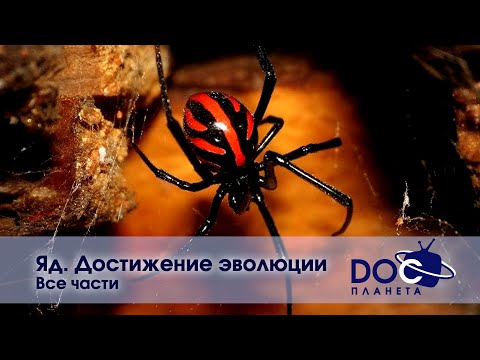 Видео: Яд. Достижение эволюции - Все части -  Документальный фильм