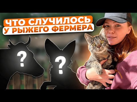 Видео: ЖЕСТЬ НА ФЕРМЕ МОЛОДОГО РЫЖЕГО ФЕРМЕРА | Все новости недели