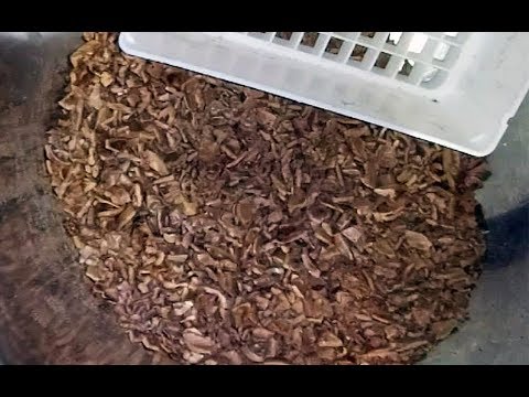 Видео: Как сделать абразив из скорлупы грецкого ореха/how to make an abrasive from a walnut shell