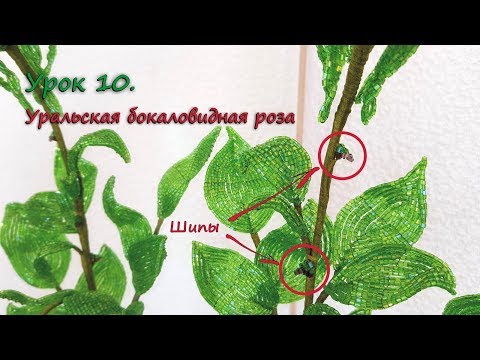 Видео: Бокаловидная роза. 🌹 Урок 10 - Шипы / Cup-shaped rose. Lesson 10 - Thorns