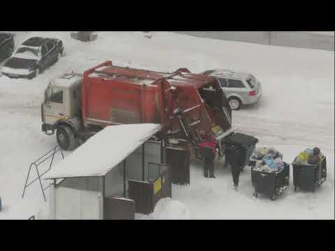 Видео: МАЗ --- мусоровоз,загрузка.Боровляны.