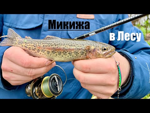 Видео: Весенний лес Камчатки и Микижа  4K #камчатка#рыбалка#туризм