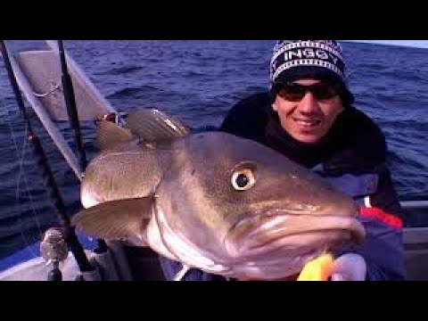 Видео: Морская рыбалка в Норвегия на острове Ингoя.