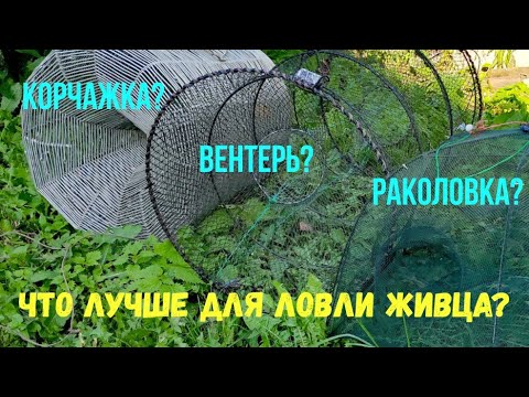 Видео: На что лучше ловится живец? Тестируем снасти