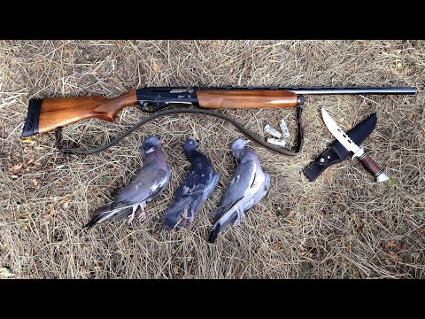 Видео: Лов на Прелетен Дивеч (откриване) HD