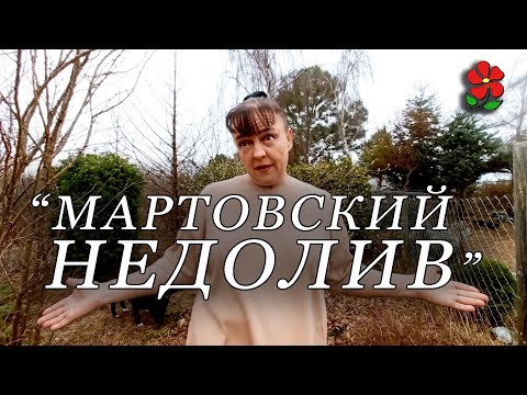 Видео: Чем опасен мартовский недолив?