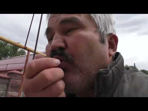 Видео: по дороге домой 2025 год