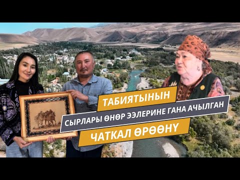 Видео: Табиятынын сырлары өнөр ээлерине гана ачылган Чаткал өрөөнү | Элетте берүүсү