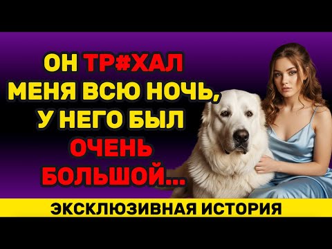 Видео: Это был мой первый раз с собакой...