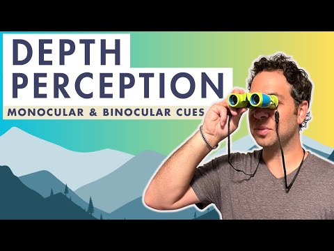 Видео: Монокулярные сигналы и бинокулярные сигналы - AP Psychology - Что такое восприятие глубины?