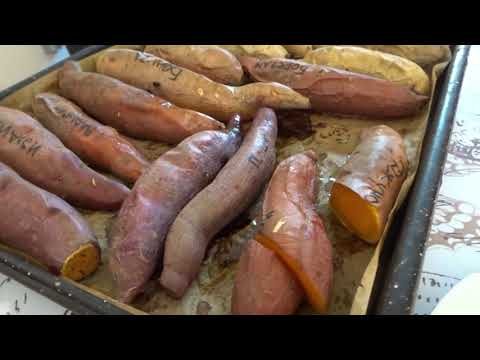Видео: ИЗУЧАЕМ КОЛЛЕКЦИЮ СОРТОВ БАТАТА