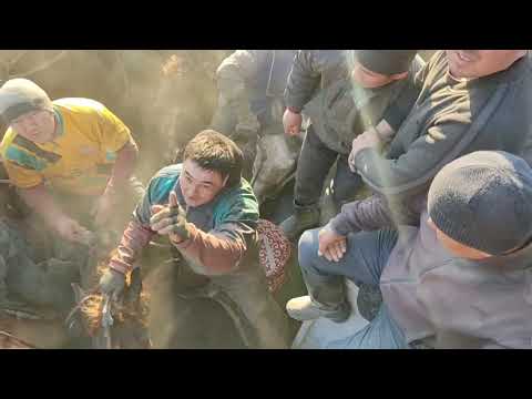 Видео: Улактан узунду.