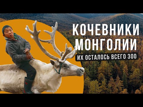 Видео: Как живут последние кочевники оленеводы Монголии - Цаатаны