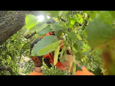 Видео: Рабочие будни в Речице