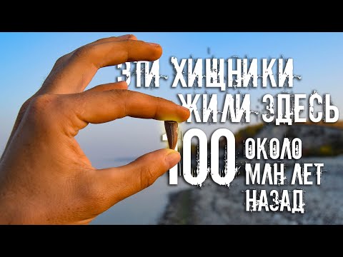 Видео: Что можно найти в отложениях Мелового периода на берегу Волги?| Ищем зубы древних акул