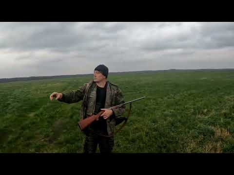 Видео:  Ходовая охота по канавам на утку. Стрельба в лет на 2 балла. 