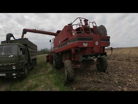 Видео: Весняна уборка кукурузи Перший виїзд Сase 1660