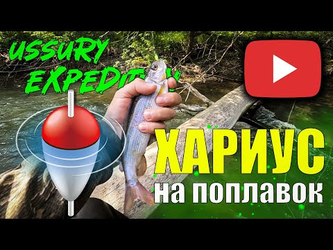 Видео: Хариус на поплавок, в тайге! Рыбалка, которую мы полюбили!