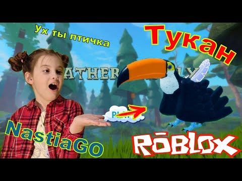 Видео: Cемья птиц роблокс тукан симулятор птицы обзор птички feather family roblox toucan simulator bird