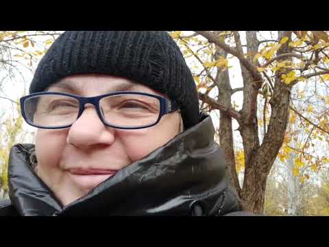 Видео: Новый пирог с сливой. Из турецкого журнала