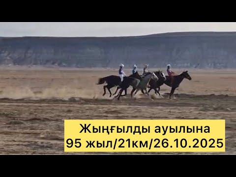 Видео: Жыңғылды ауылына 95 жыл/Ошақ бәйгі/21км/26.10.2025