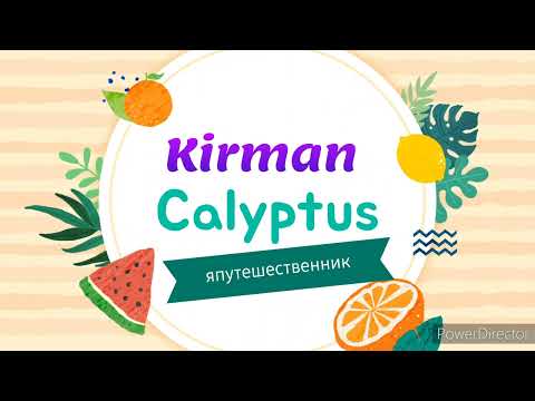 Видео: Kirman Calyptus hotel . Самый подробный обзор- 2022 г.