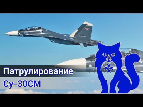 Видео: Су-30СМ "Flanker-H" - Патрулирование (DCS World) | WaffenCat