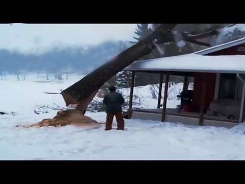 Видео: Придурки с бензопилами 80 лвл.