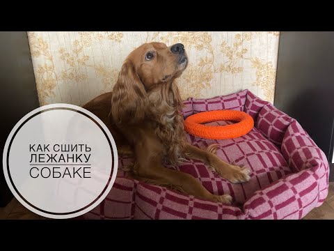 Видео: Как сшить лежанку для собаки или кота.
