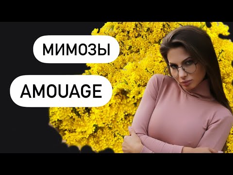 Видео: Мимоза от AMOUAGE. Love mimosa amouage #парфюмерия #amouage