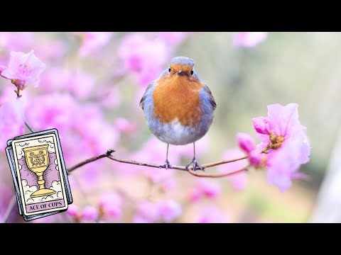 Видео: 👄Мисли ли днес за мен? 💬А какво си мисли? 🎯
