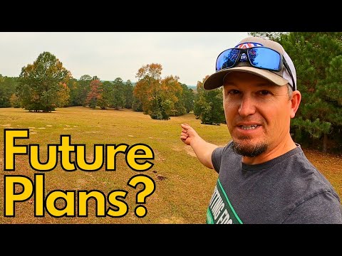 Видео: Я основал компанию по ландшафтному дизайну, чтобы однажды купить это!