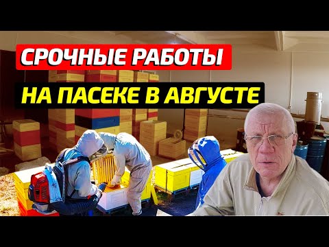 Видео: Во время отобрать мед из улья. Откачка меда. Линия по откачке меда.