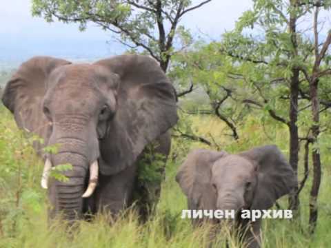 Видео: Географията - пътешествие и приключение. Филм за проф. Румен Пенин