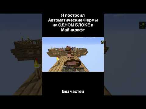 Видео: 22 октября 2025 г.