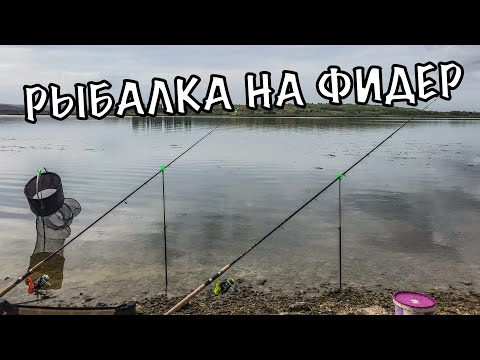 Видео: ОСЕННЯ РЫБАЛКА НА ФИДЕР НА РЕКЕ ДНЕСТР