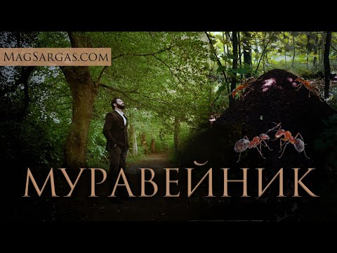 Видео: История о муравейнике (Мне не было смешно) - Маг Саргас